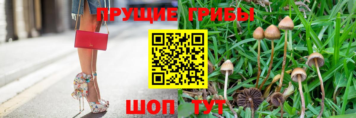 Псилоцибиновые грибы мицелий Луга