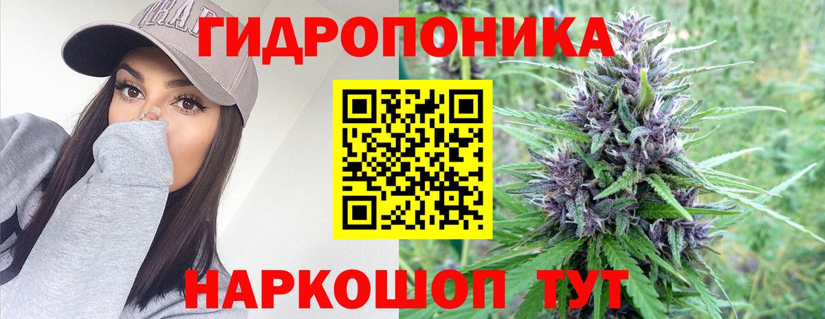 МАРИХУАНА MAZAR Луга